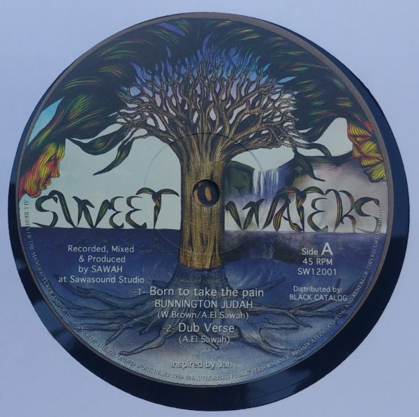 Bunnington Judah / Soul Mate - Born to take the pain / Stone